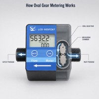 Capteur de débit de carburant DIJIANG 1/2'' DN15 filetage G, compteur de débit de carburant diesel numérique à turbine électronique à impulsions 5 à 600 L/H avec écran LCD
