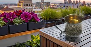 Mules de Moscou tasses en laiton-Capacité de 100% tasses en laiton massif pur fabriquées à la main-18 oz. - Product Image 4