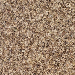 เมล็ดผักชีลาวเมล็ดผักชีลาวแห้งจากธรรมชาติสะอาดเป็นจำนวนมากรับประกันได้98% ความบริสุทธิ์ขั้นต่ำ - Product Image 6