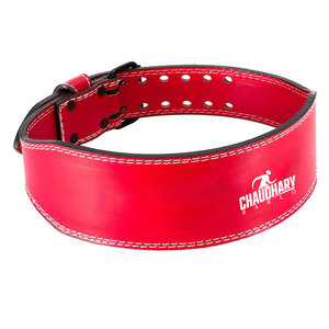Cinturón de Levantamiento de Pesas Ajustable de Diseño Personalizado, Cinturón de Protección para Gimnasio y Fitness para Adultos - Product Image 1