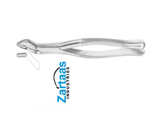 Pince d'extraction en acier inoxydable de haute qualité troisième molaire supérieure fig 210H Fabricant et exportateur - Product Image 4