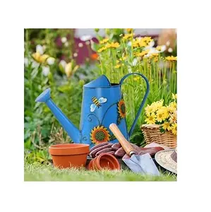 Wholesale Supplier Water Can Best Quality Iron Metal New Design Custom Shape Watering Can For Home Garden Daily Usage