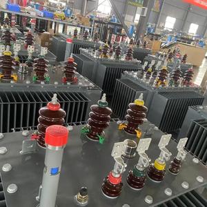 Điện áp cao Phân phối điện dầu đắm mình biến áp 33kv 500kva 3 pha 50Hz 60Hz IEC chứng nhận cho trạm biến áp công nghiệp - Product Image 5