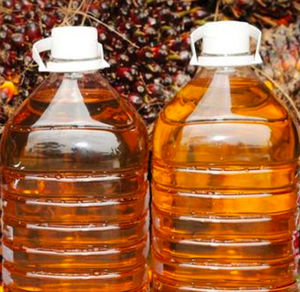 Aceite de Palma Refinado a Precio de Fábrica, Aceite de Palma para Cocinar, Aceites de Palma Refinados, Disponibles Ahora en Existencias al por Mayor, Precio Accesible - Product Image 2