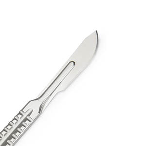 Bisturí Veterinario Desechable de Acero Inoxidable con Mango de Plástico, Certificado CE Clase II, Venta al por Mayor de Fábrica PAKDEN INDUSTRY - Product Image 4