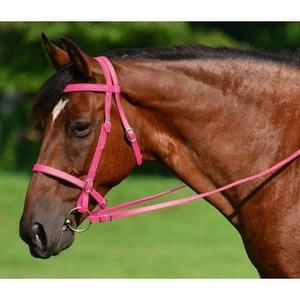 Juego de resistencia para montar a caballo inglés multifuncional más vendido, brida Martingale Multicolor totalmente ajustable, riendas listas para enviar - Product Image 1