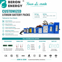 Pack de batteries Li-ion OEM 18650 21700 32700 12V 24V haute puissance pour la surveillance extérieure et l'alimentation portable