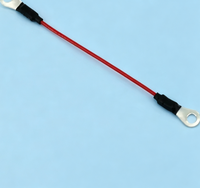 Cable de Carga Alternativo HB451748 HIT para HIT Cij, Repuestos