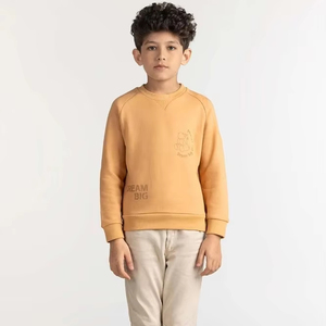Sweatshirts pour enfants imprimés avec logo de l'équipe sportive pour garçons pulls en coton de style athlétique pour l'hiver - Product Image 1