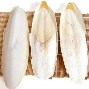Meilleur prix os de seiche séchés propres os de seiche secs de qualité supérieure pour aliments pour animaux de compagnie emballage personnalisé disponible - Product Image 1