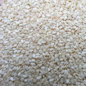Pure Natural Fresh Sesame <b>Seeds</b> Size 14-32 24-30% Dry Matter Ready Eat Tanzania 30-Day Shelf Life Dry Cool <b>Storage</b> Small-Scale - Product Image 4