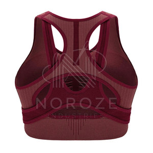 Sujetador deportivo para mujer de la mejor calidad recién llegado al mejor precio Sujetador deportivo para gimnasio y yoga sin costuras - Product Image 2