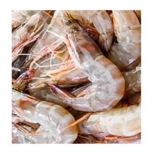 Camarones blancos frescos congelados Vannamei a la venta al mejor precio - Product Image 1