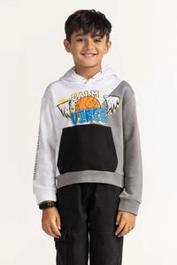 Sweatshirts pour enfants imprimés à fleurs pour garçons Pulls en coton colorés inspirés de la nature - Product Image 5