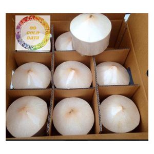 FRAIS JEUNE FORME DE DIAMANT NOIX DE COCO NATURELLE DE QUALITÉ BIOLOGIQUE FACILE OUVERT POUR BOISSON ET RAFRAICHISSEMENT TROPICAL - Product Image 2