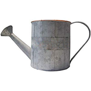 Regadera de metal galvanizada con mango de latón y cuerda Regadera de hierro de metal para flores y plantas para Decoración - Product Image 4