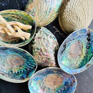 CONCHA DE ABALONA PULIDA NATURAL GRAN CANTIDAD ARCO IRIS LIGHT SAGE SMUDGING REPTIL COMIDA DECORACIÓN REGALOS + 84 767 550 132 - Product Image 5