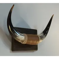 Cornes de taureau décoratives faites à la main, décoration murale authentique en provenance d'Inde, vente en gros, décoration en corne de vache artisanale