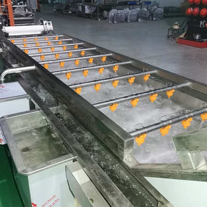 Lavadora multifuncional de fresas para mayoristas - Product Image 1