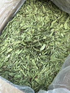 Hoja de Stevia Seca Premium para Aplicaciones Dulces Suaves, Material Limpio, Empaque Duradero y Suministro de Exportación Confiable - Product Image 6