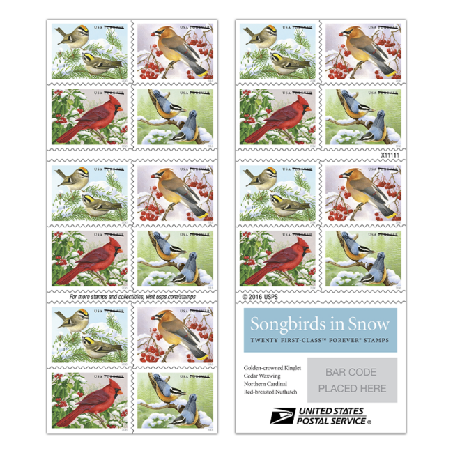 2016 Aves cantoras en la nieve 500374-H0-71-16XZMQ