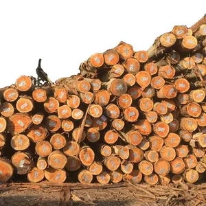 Kiln Dried Oak Logs Crate - Oak Hardwood Logs