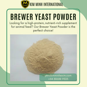 Polvo de levadura de cerveza seca de Vietnam al mejor precio - Product Image 5