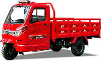 Pabrik Keamanan Segala Cuaca Langsung Menyediakan Mesin Berpendingin Air 200/250/300cc, Tangki Bahan Bakar Besar, Tricycle Kargo