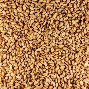 Semillas de Sésamo Frescas Naturales Puras de Primera Calidad, Tamaño 14-32, Listas para Comer, Tanzania, Vida Útil de 30 Días - Product Image 6