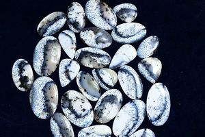 คุณภาพสูง Dendrite โอปอล cabochons อัญมณีสีฟ้าในรูปทรงต่างๆอัตราการขายส่งจากอินเดียสำหรับการทำเครื่องประดับ - Product Image 2