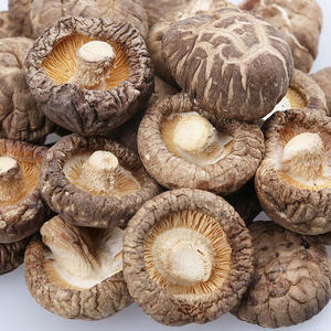 Les meilleurs champignons shiitake séchés/VDELTA/Viet Nam/ Ms May (+ 84 904 183 651) - Product Image 5