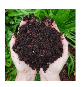 El mejor vendedor terraza jardinería estiércol fertilizante estiércol Vermi compost bio fertilizante - Product Image 3