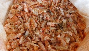 Poudre de coquilles de crevettes séchées exportation du Vietnam pour l'alimentation animale/pour l'engrais en vrac - Product Image 3