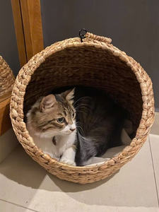 Cuerda de jacinto de agua seca de Vietnam utilizada para producciones artesanales // MS LAURA + 84 918 509 071 - Product Image 6