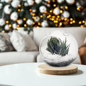 Terrarium HCH0106NH โลก/ไม่มี Hook - 6.5 - Product Image 3