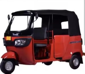 Tricycle à essence TVS -King Deluxe 3 roues, fabriqué en usine à Hong Kong, OEM ODM, industriel, DIY, garantie dorée de 3 ans - Product Image 3