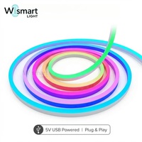 Комплект светодиодной ленты RGBIC DC24V Tuya с Wi-Fi управлением через приложение, синхронизацией с музыкой для декора дома, спальни, отеля
