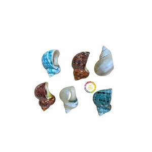 Ronds de serviette élégants en jonc de mer tissés à la main Décoration de table écologique pour banquet de fête de mariage Vente en gros du Vietnam - Product Image 1