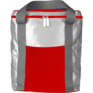 Borsa Termica Theon Personalizzabile per Merchandising con Impacchi Freddi - Product Image 2