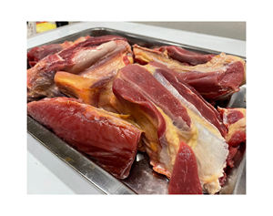 Carne de Res Congelada Procesada HALAL con Hueso (SHIN_SHANK) / Carne de Búfalo Congelada HALAL / Carne de Búfalo Congelada HALAL sin Hueso Disponible - Product Image 4