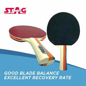 STAG ICONIC Ensemble de tennis de table d'extérieur, raquettes en bois résistantes aux intempéries, balles à picots longs, certifié ITTF pour l'intérieur/l'extérieur - Product Image 6