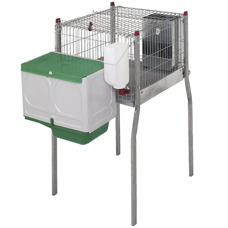 Mother and Baby Rabbit Cages Durable Efficient Solutions