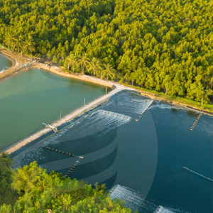 Geomembrane HDPE การเกษตรความหนาแน่นสูงกว่าวงจรการทำฟาร์มที่สั้นกว่าการควบคุมสิ่งแวดล้อมที่ดีขึ้นช่วยให้ - Product Image 1