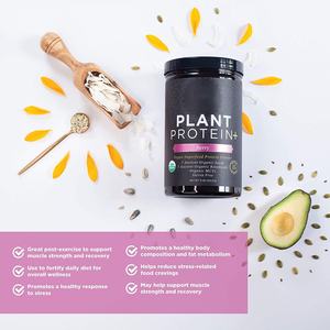 Oem etiqueta privado de açúcar não transgênica, semente orgânica baseada em <span class=keywords><strong>vegan</strong></span>, superalimentos, pó de proteína para bem-estar geral - Product Image 3
