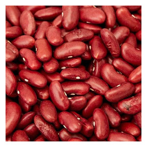 Frijoles rojos orgánicos al mejor precio de Vietnam para cocinar verduras disponibles a precio mayorista empaquetado a granel - Product Image 2