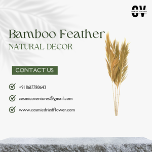 Plumas de Bambú Naturales de Alta Calidad al por Mayor para Manualidades, Decoración de Eventos de Halloween y Otras Decoraciones con Flores y Hierba Secas2026 - Product Image 1