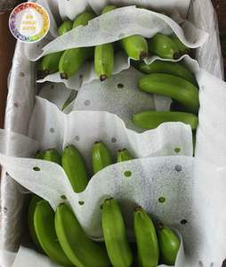 Plátanos Frescos, la Mejor Opción al por Mayor para Compradores Saudíes que Buscan Fruta Tropical de Vietnam por 99 Gold Data - Product Image 6