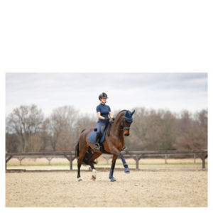 Botas de Protección para Caballos Hechas a Medida en Pakistán, Acolchado Absorbente de Impactos, Soporte Completo para Tendones y Menudillos, Cómodas y Duraderas - Product Image 3