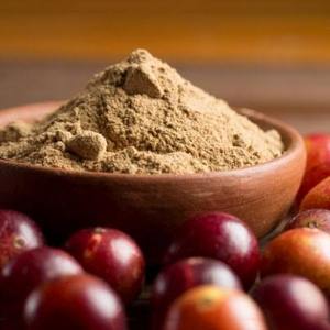 Polvo de Fruta de Camu Camu Peruano Puro al por Mayor, Alto en Vitamina C, Superalimento Orgánico, Materia Prima Exportada por Agrilatin SAC - Product Image 3