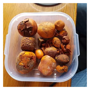 100% pierres biliaires de boeuf de qualité supérieure pierres biliaires de bétail pierres biliaires de vache acheter des pierres biliaires de vache pour - Product Image 1